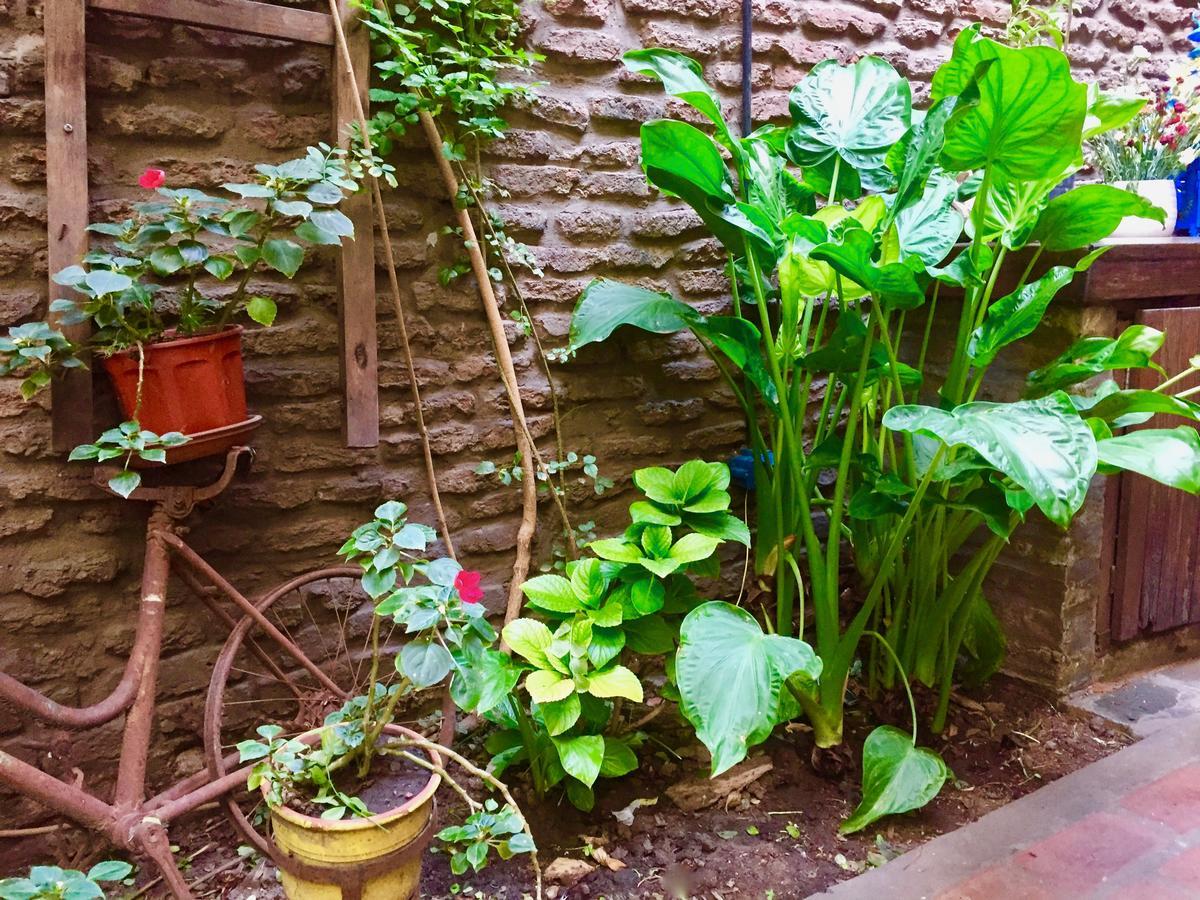 بوينس آيرس Lina'S Tango Guesthouse المظهر الخارجي الصورة